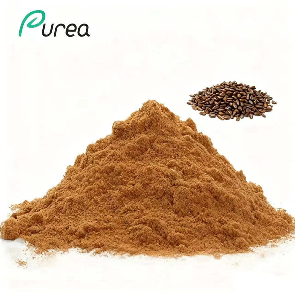 ক্যাসিয়া বীজ নির্যাস পাউডার