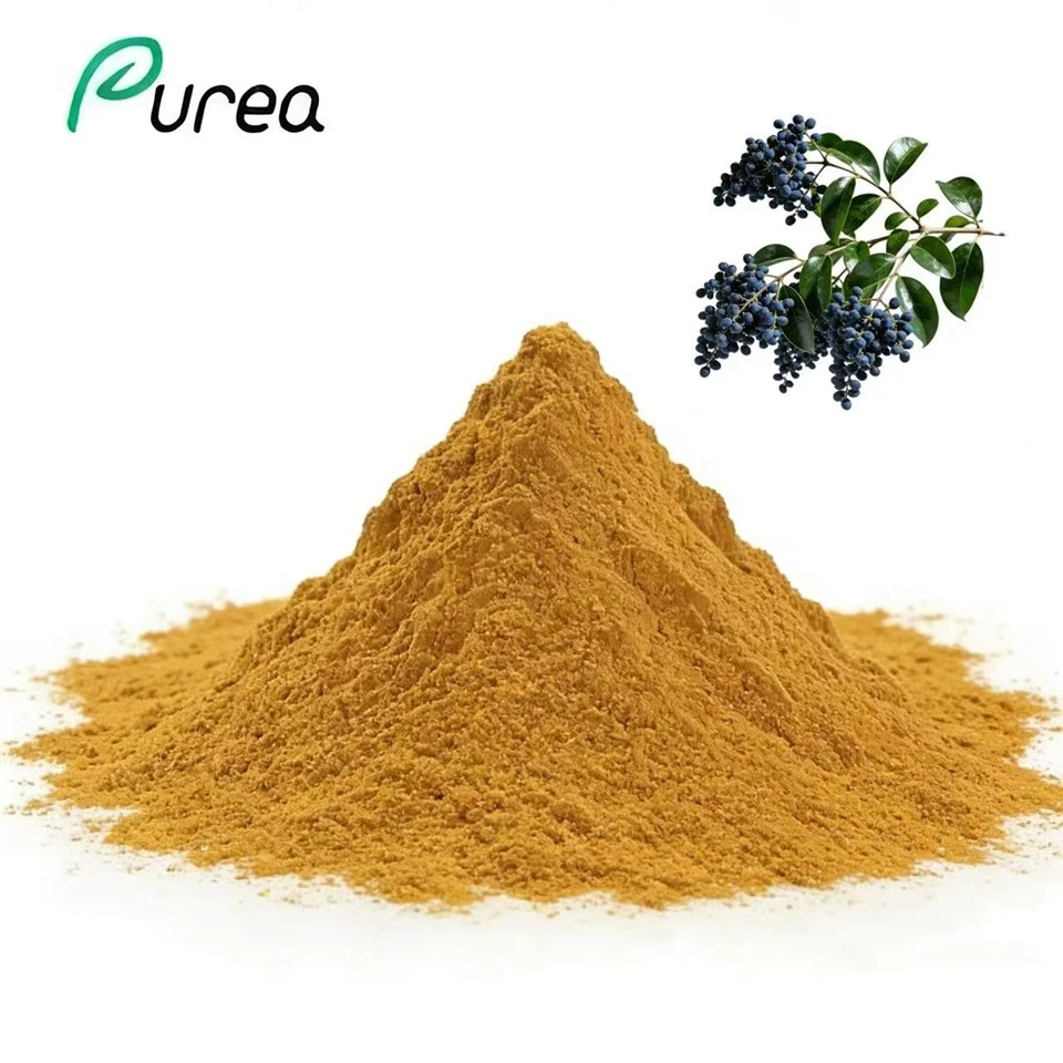 লিগুস্ট্রাম লুসিডাম এক্সট্র্যাক্ট পাউডার