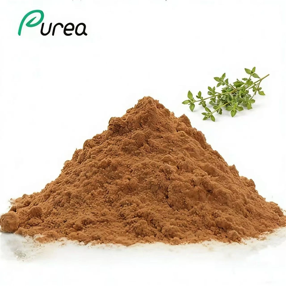 ওরেগানো পাতার নির্যাস পাউডার